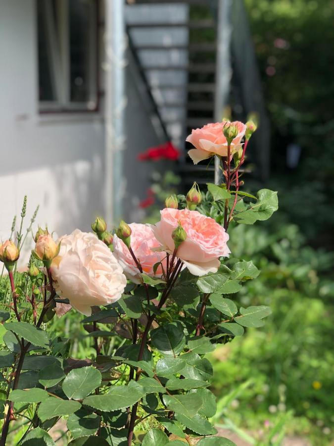Charmante Ferienwohnung Mit Balkon Im 5-Seen-Land Hechendorf am Pilsensee Zewnętrze zdjęcie